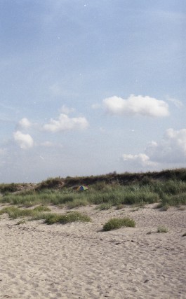 Katharina Pflug